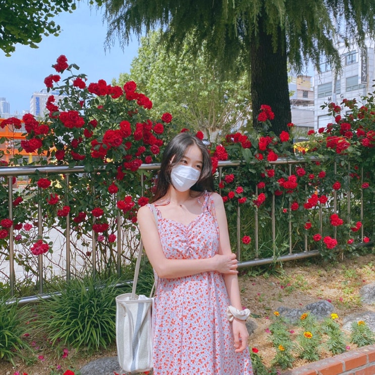 (Closed) 헤이진, 달콤플라워셔링