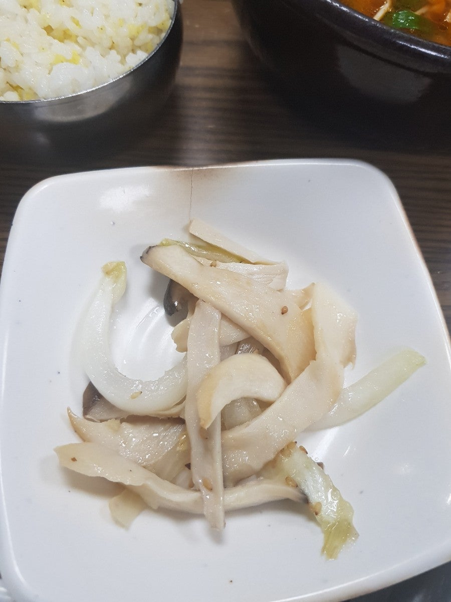 서진청둥오리 사진 7