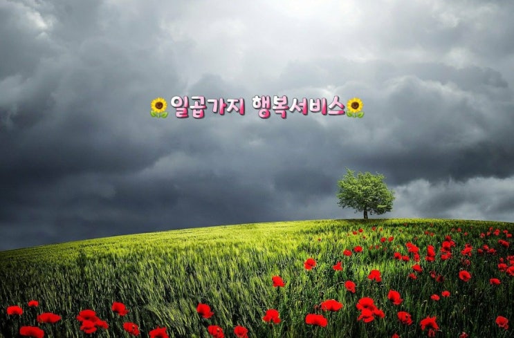 일곱가지 행복서비스 일곱가지 행복서비스