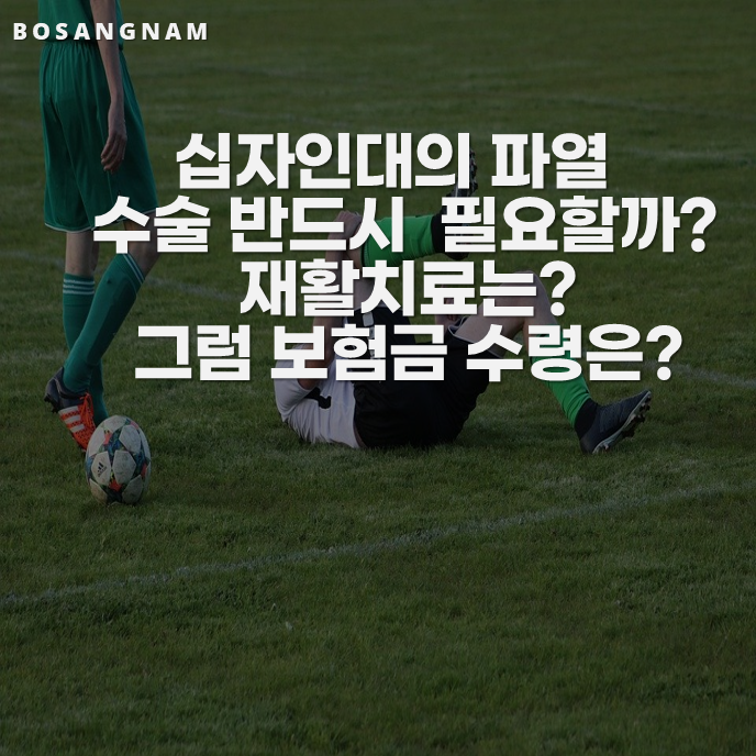 19. 무릎의 전방 십자인대, 후방 십자인대의 파열 수술과 재활치료에 대하여