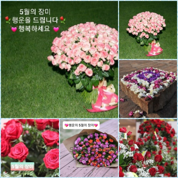 오늘은 부부의 날 오늘은 부부의 날