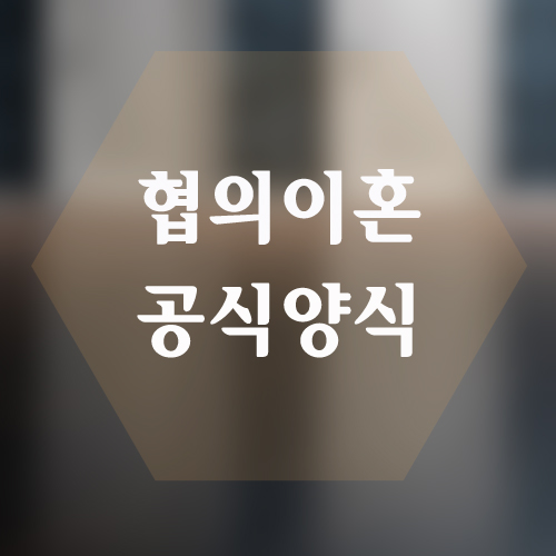  협의이혼 서류 법원 공식 양식, 주의사항