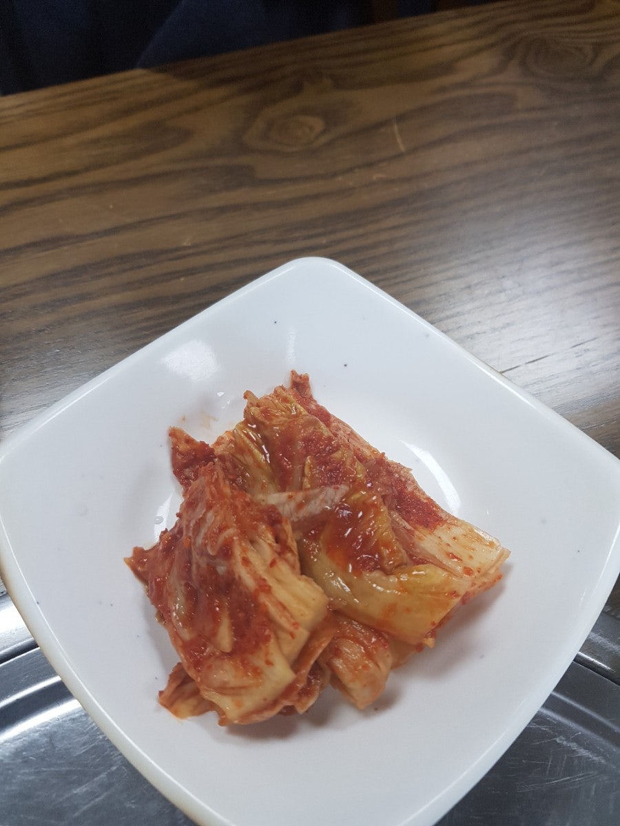 서진청둥오리 사진 6