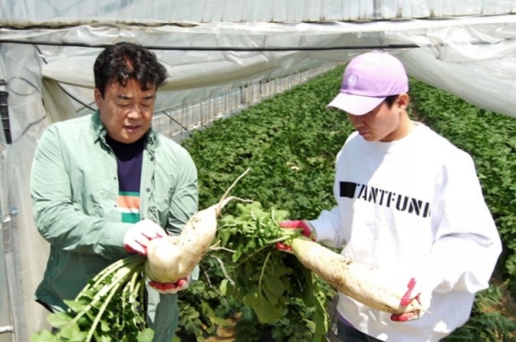 맛남의 광장 용인 친환경 급식업체 무 청경채 농가 일손돕기 백종원표 신메뉴는?