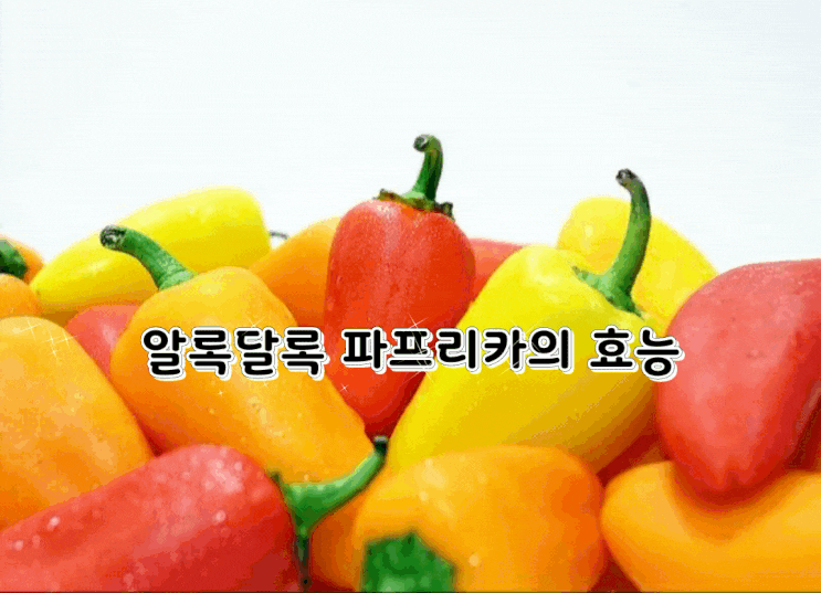 알록달록 파프리카의 효능 알록달록 파프리카의 효능