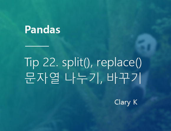 [파이썬] 판다스(pandas) split과 replace 함수로 문자열 나누기 및 변경하기