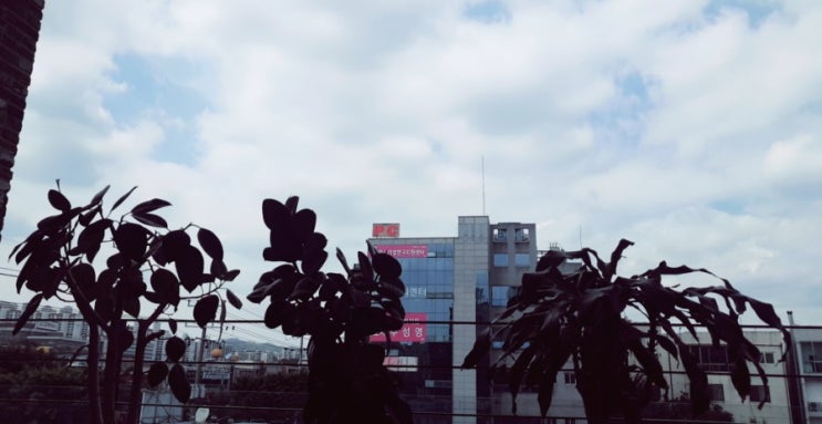  오늘의 힐링
