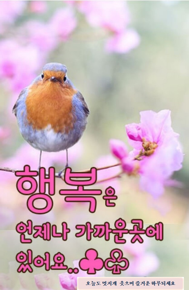  연산동 대지, 다용도,대도로변, 전면좋음