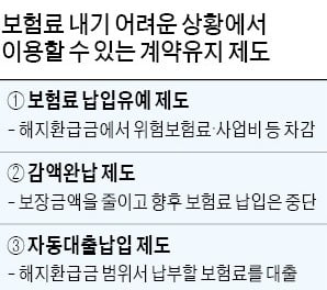 보험 중도해지 하면 손해 큰데…납입 유예·보험대출 활용 어때요 보험 중도해지 하면 손해 큰데…납입 유예·보험대출 활용 어때요