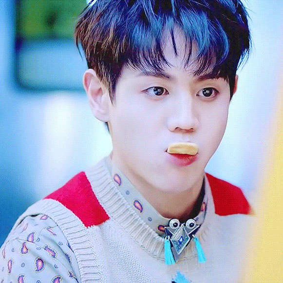  [하이라이트 요섭] 양요섭 D-100기념 하드털이