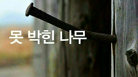  최우수 글