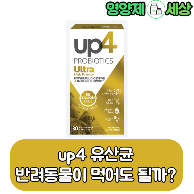  up4 프로바이오틱스 고양이가 먹어도 될까? 강아지는?