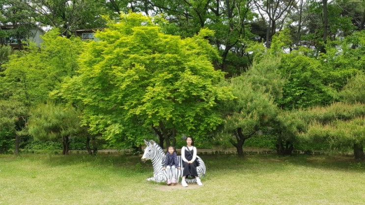  양평가볼만한곳 사진찍기좋은 들꽃수목원