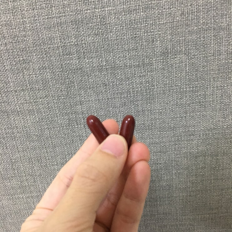  남편 영양제, 실리마린 효능 추천!