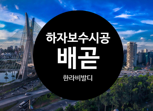  배곧 한라비발디1차 탄성 페인트들뜸 하자보수 후기