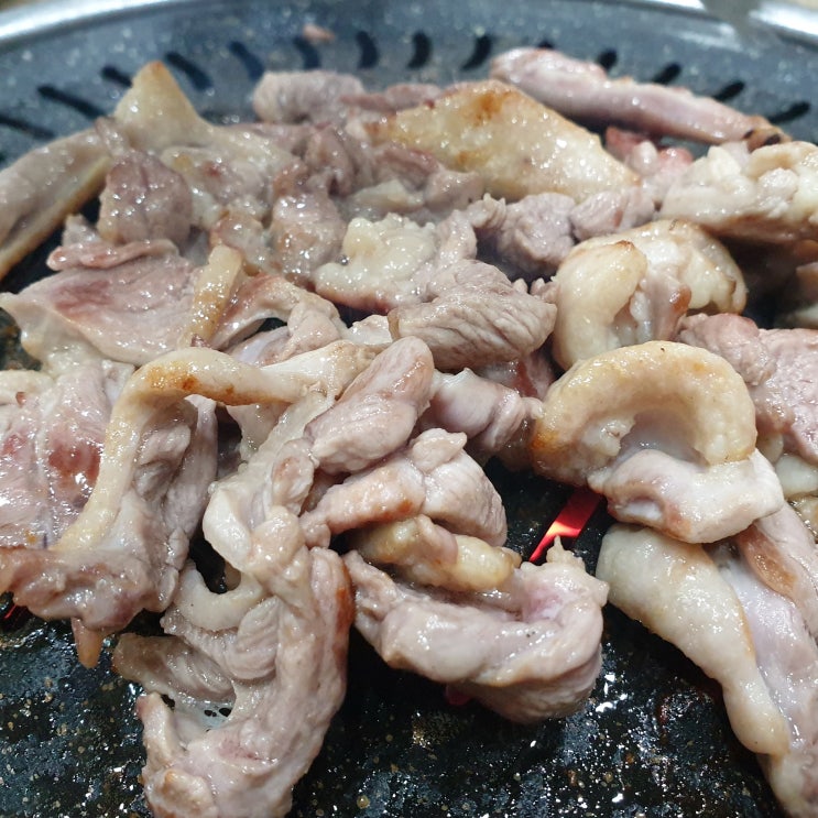  대구 장기동 맛집 "삼정산오리마을" 생오리참숯구이