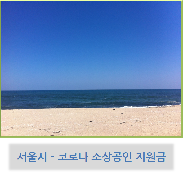  서울시 - 코로나 소상공인 지원금