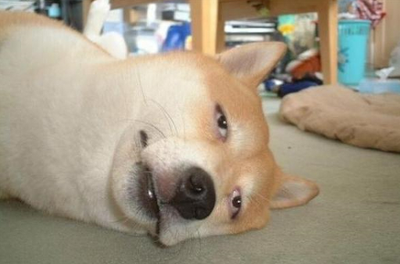 그렇다. 나는 게으름뱅이에 만사가 귀찮다. : 네이버 블로그