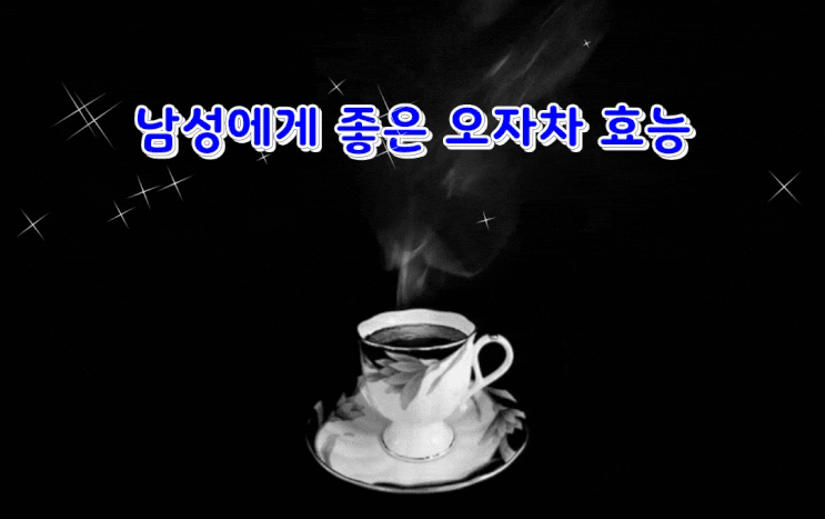 남성에게 좋은 5자차 효능 남성에게 좋은 5자차 효능