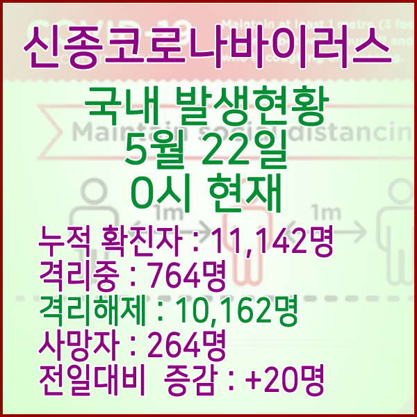  코로나19(코로나바이러스) 5월 22일 0시 국내 발병 11,142명 / 10,162명 완치 격리해제 / 사망자 264명