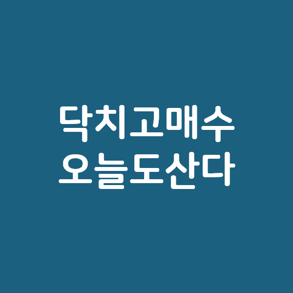  오늘도 닥치고 매수합니다. 투잡으로 번돈과 배당받은 돈으로!
