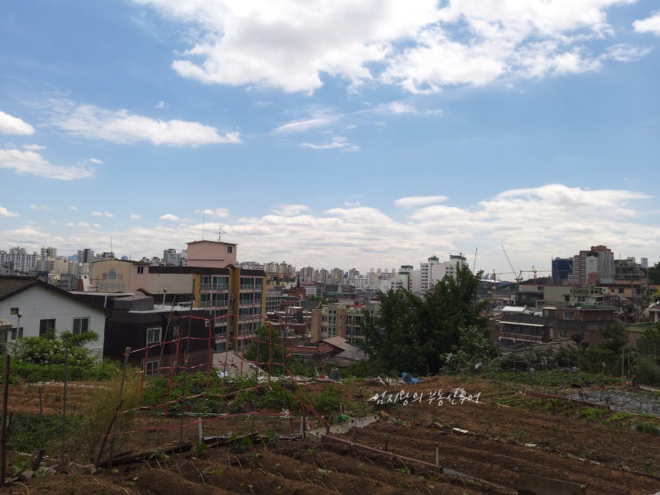 증산 4구역에 다녀왔습니다.-공공재개발 사업 발표 후 분위기