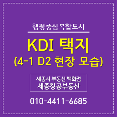  세종시 이주자택지, 4-1 D2 KDI 택지 현장