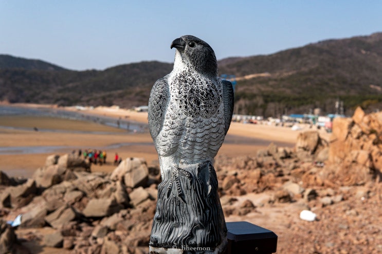  인천, 영종도 가볼만한 곳 :: 하나개 해수욕장 (드론 영상)