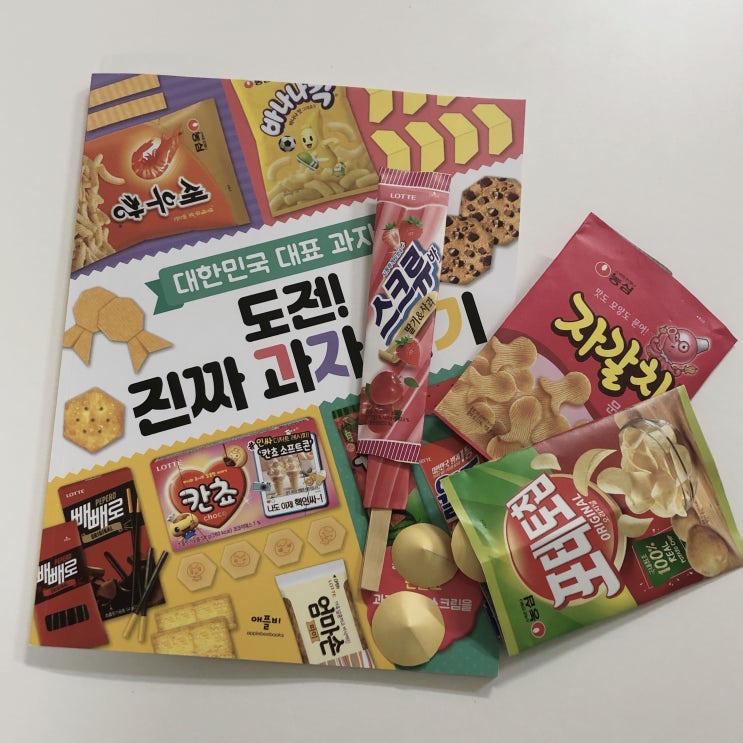  도전 진짜 과자 접기 (재밌는 종이 접기 책 후기 추천)