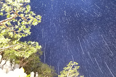 시대주 이미지