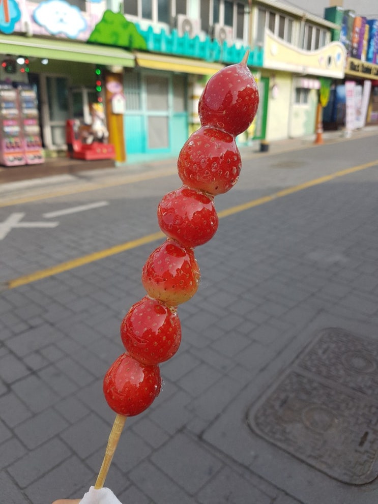  Lifelog 최애 간식: 탕후루