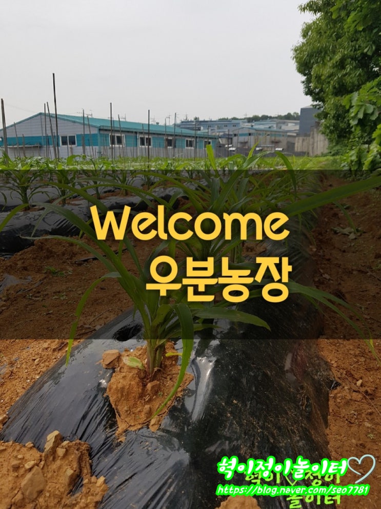  일상 ㅡWelcome우분농장