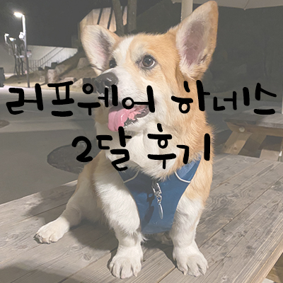 러프웨어 하네스 2달 사용후기 러프웨어 하네스 2달 사용후기
