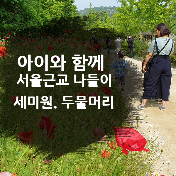  서울근교 아이와 나들이 하기 좋은 곳. 세미원, 두물머리