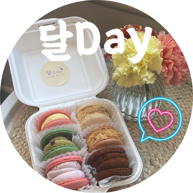  삼덕동 마카롱 : 달day/대구 중구 동성로 마카롱 맛집 추천