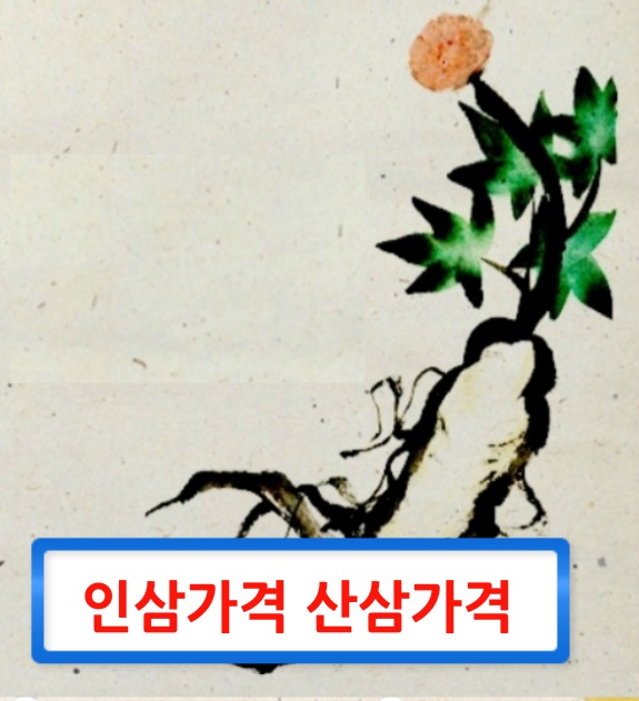  인삼가격 산삼가격 알아봅니다.