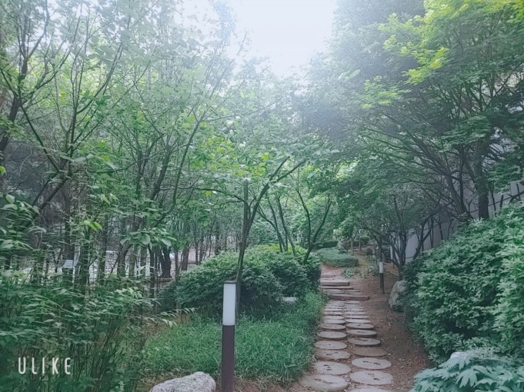  상쾌한 아침 등산을 마치고