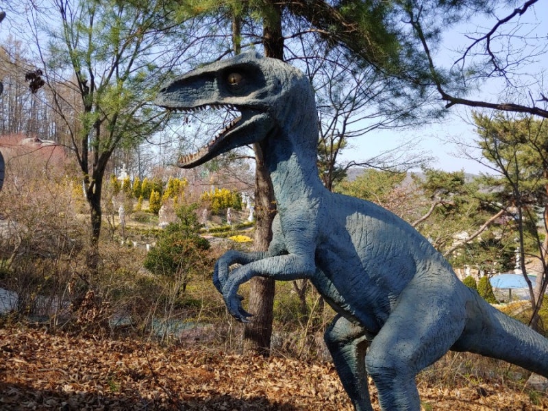 벨로키랍토르.벨로시랩터.랩터 보러 가요~ 🌋공룡테마파크 옥토끼우주센터 : 네이버 블로그 벨로키랍토르.벨로시랩터.랩터 보러 가요~ 🌋공룡테마파크 옥토끼우주센터 : 네이버 블로그