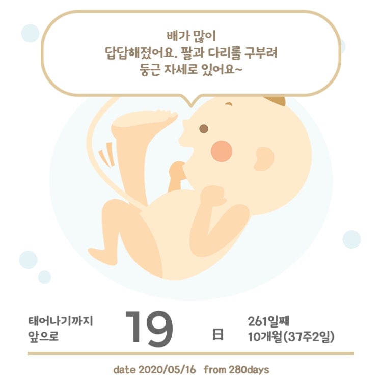 [임신 37주] 임신 일기, 정기산,