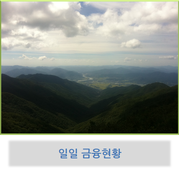  일일 금융 현황