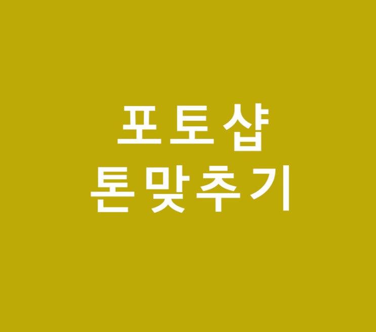 포토샵 톤맞추기