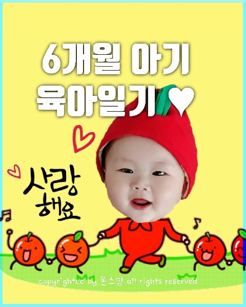  생후 6개월 아기 육아일기  193일~195일 노발락 2단계로 갈아타기 완료!