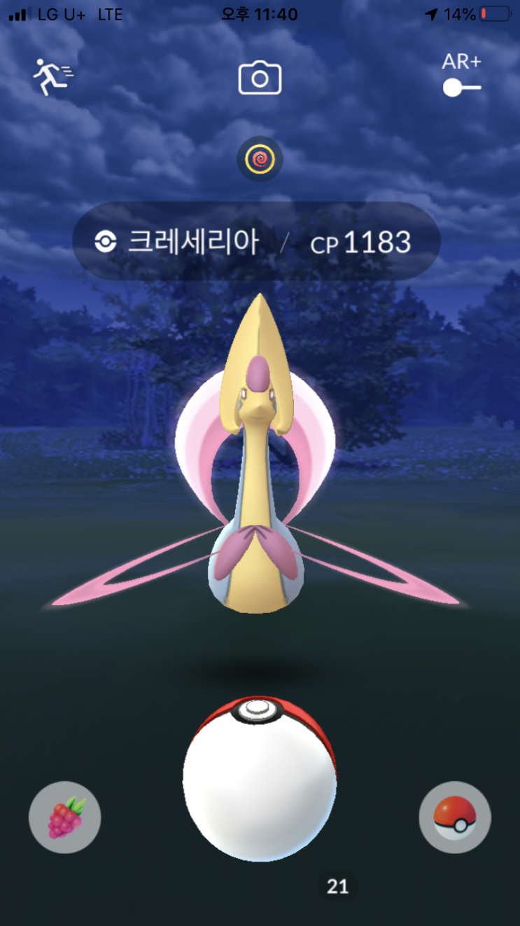  신오리서치 끝~!