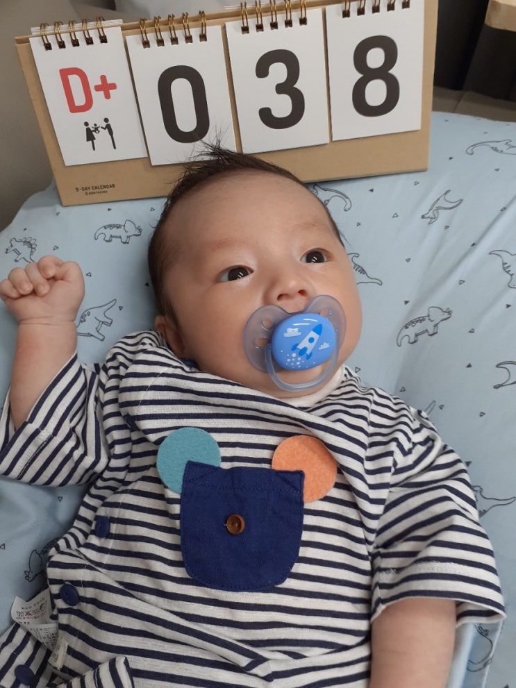  정우 38일~ 42일/찡찡이와 똥,잠,놀이,운동전쟁/페도라 바구니 카시트