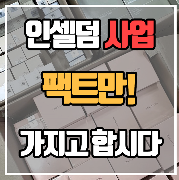  인셀덤 - 사업 팩트만 가지고 합시다!