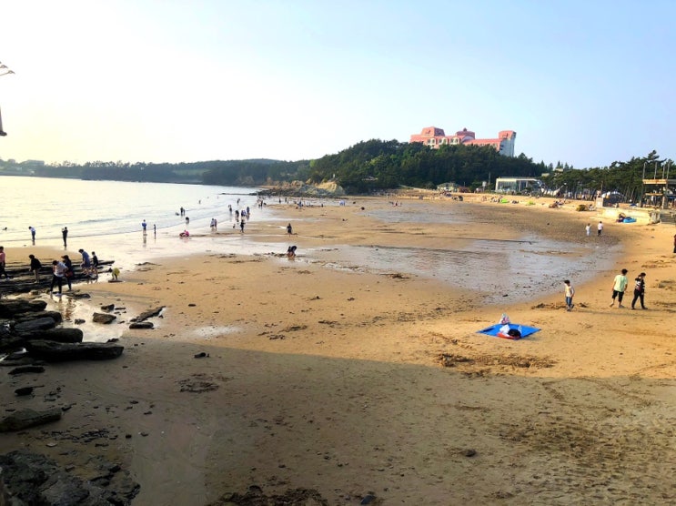  변산 격포 去海边兜风了 but!! 코로나 바이러스를 두려워해야 하는 이유-전대번역행정사