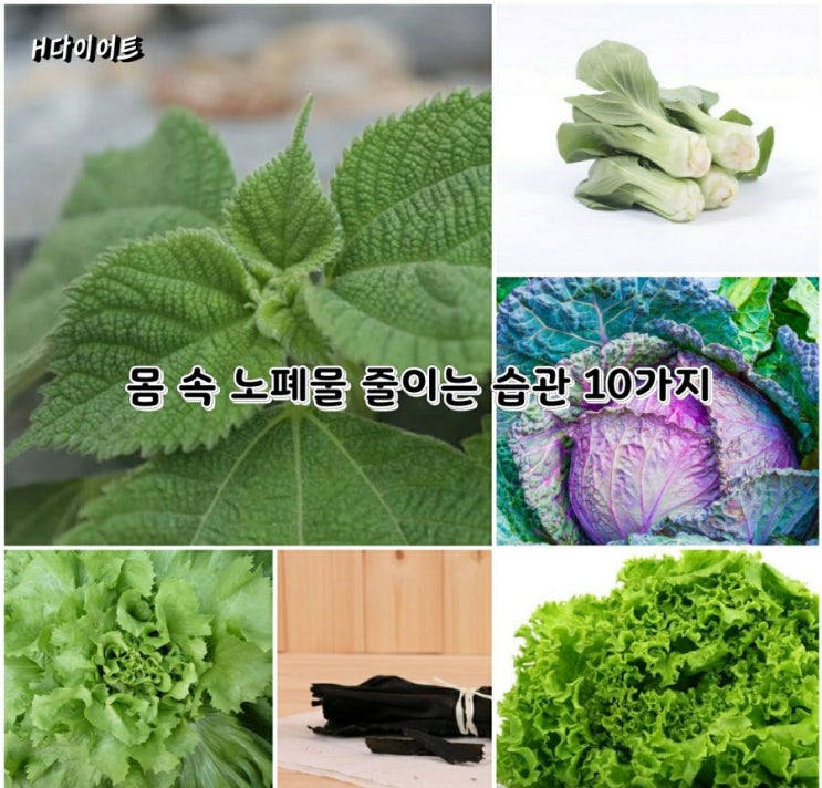 몸 속 노폐물 줄이는 습관 10가지 몸 속 노폐물 줄이는 습관 10가지