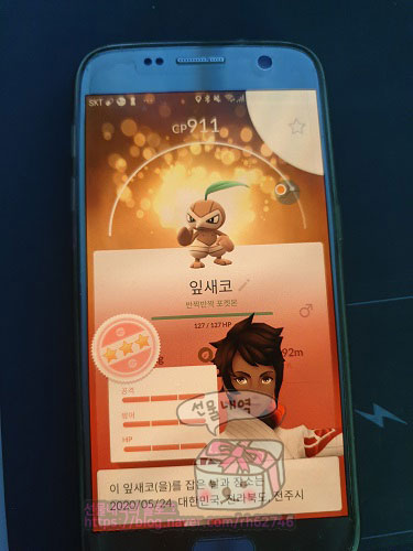  포켓몬고 커뮤니티 데이 플레이 앳홈 에디션 도토링이 이로치로 등장하다. 다탱구 이로치치