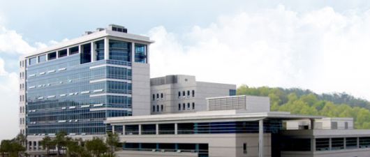 "포트홀 때문에 차가 파손됐어요"...상습 보험사기 30대 법정구속 "포트홀 때문에 차가 파손됐어요"...상습 보험사기 30대 법정구속