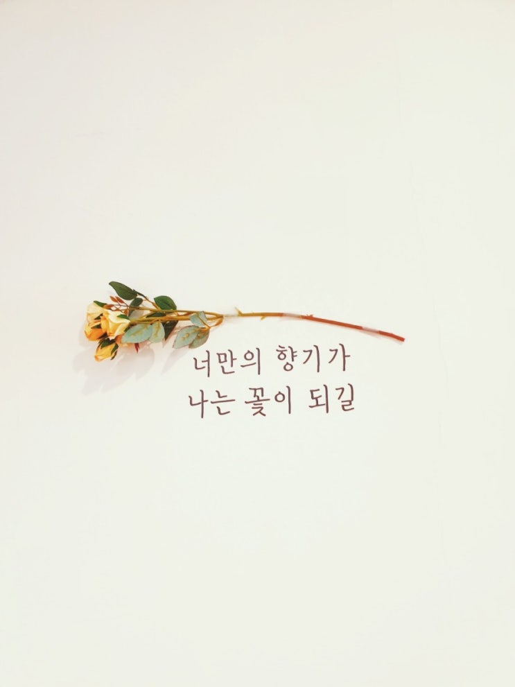  수원 매탄동 카페한달 : 동네 숨겨진 아늑한 카페 나만 아는 곳